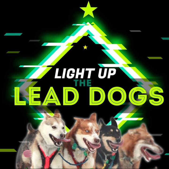 light up the lead dog
